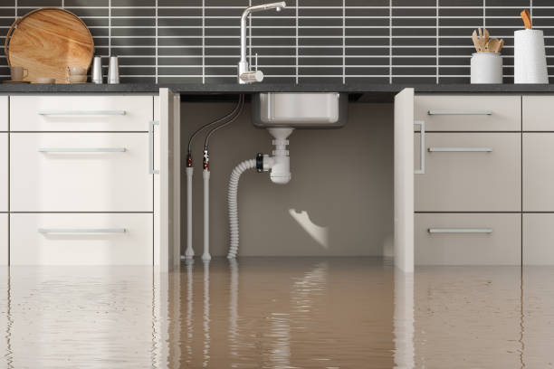 Best Water damage repair service  in USA